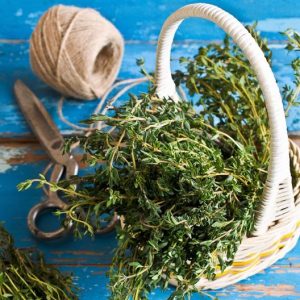Thyme Seeds (Organic)